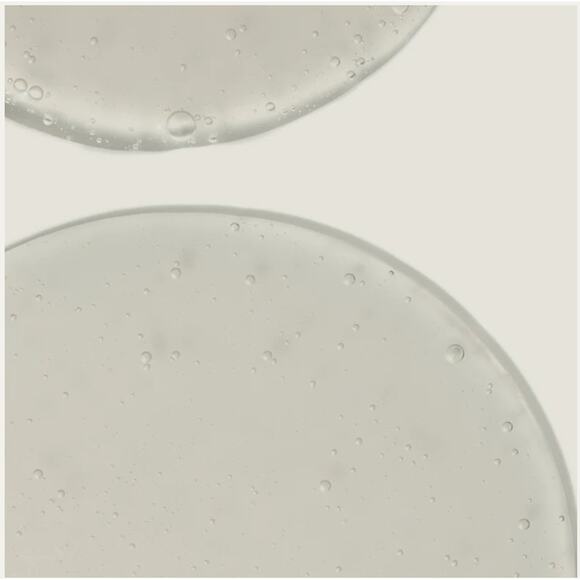 NIB Twentynine Palms Pinyon Poet Body Wash 16.9 oz Bay Laurel, Jojoba, Marjoram - Picture 2 of 3